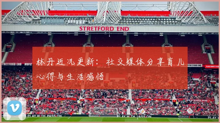 林丹近况更新：社交媒体分享育儿心得与生活感悟