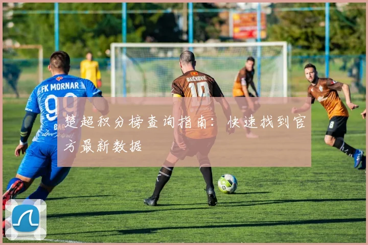 楚超积分榜查询指南：快速找到官方最新数据
