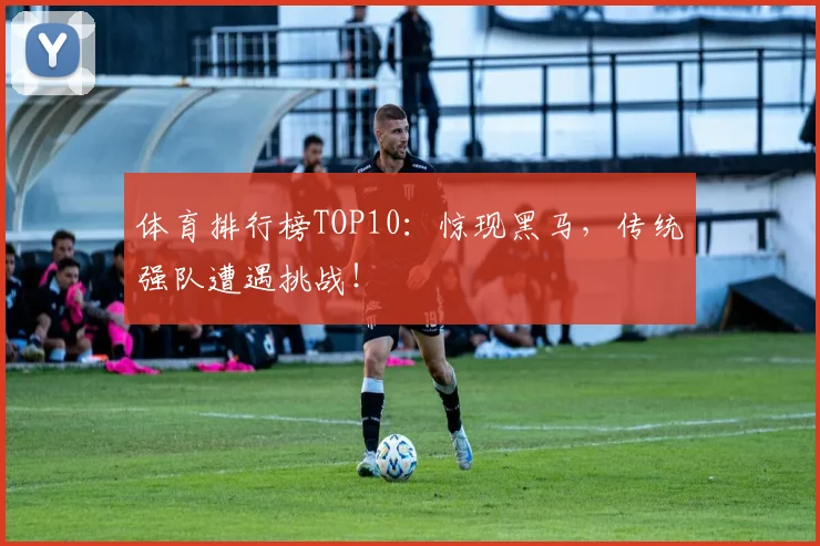 体育排行榜TOP10:惊现黑马,传统强队遭遇挑战!