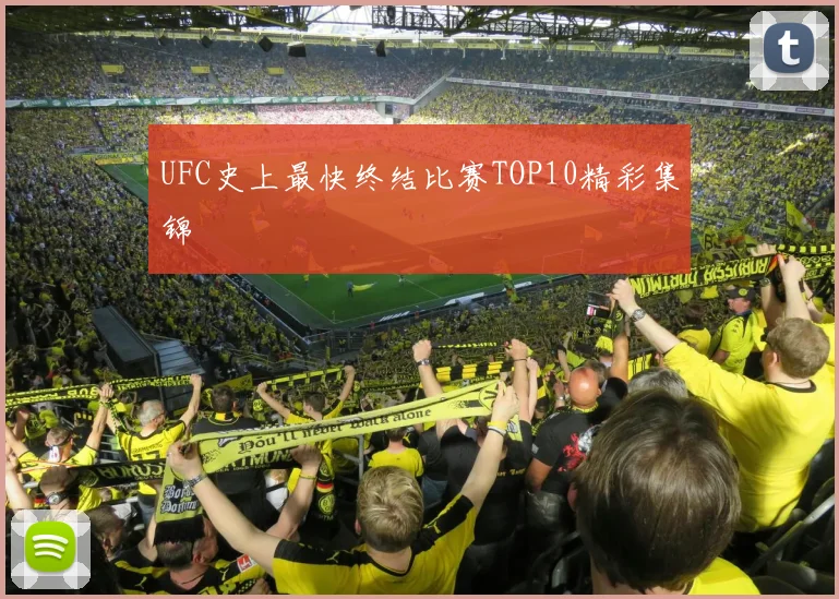 UFC史上最快终结比赛TOP10精彩集锦