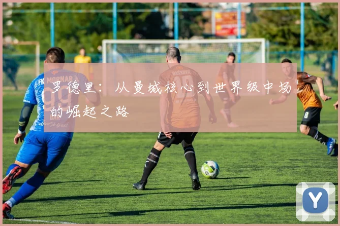 罗德里:从曼城核心到世界级中场的崛起之路