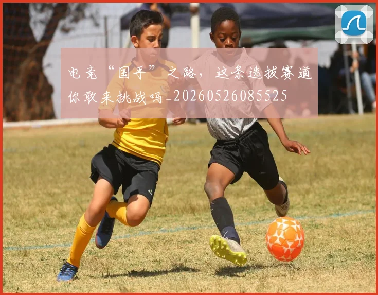 电竞“国手”之路,这条选拔赛道你敢来挑战吗_20260526085525