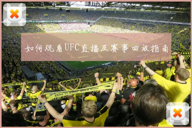 如何观看UFC直播及赛事回放指南
