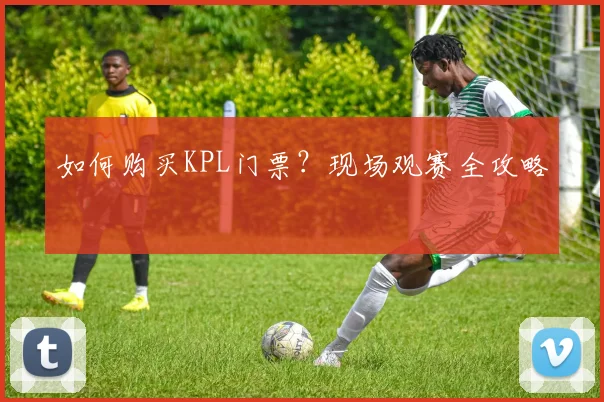 如何购买KPL门票？现场观赛全攻略