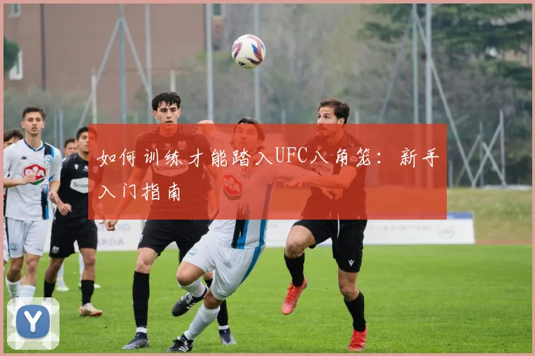 如何训练才能踏入UFC八角笼:新手入门指南