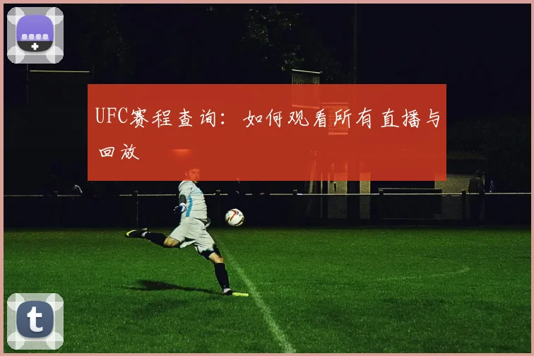 UFC赛程查询：如何观看所有直播与回放