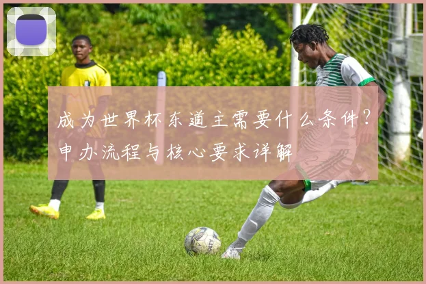 成为世界杯东道主需要什么条件?申办流程与核心要求详解