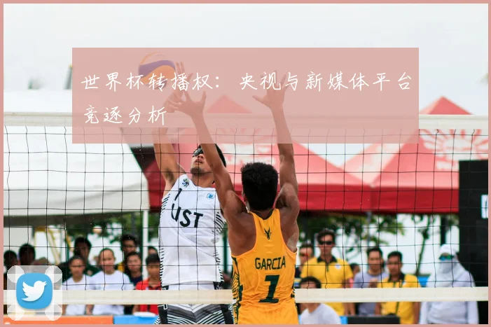 世界杯转播权：央视与新媒体平台竞逐分析