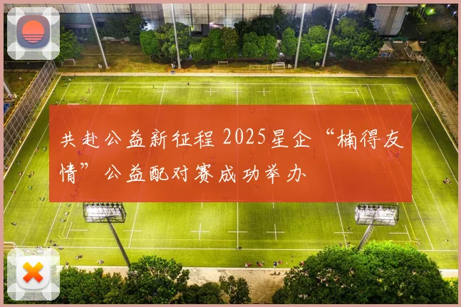 共赴公益新征程 2025星企“楠得友情”公益配对赛成功举办